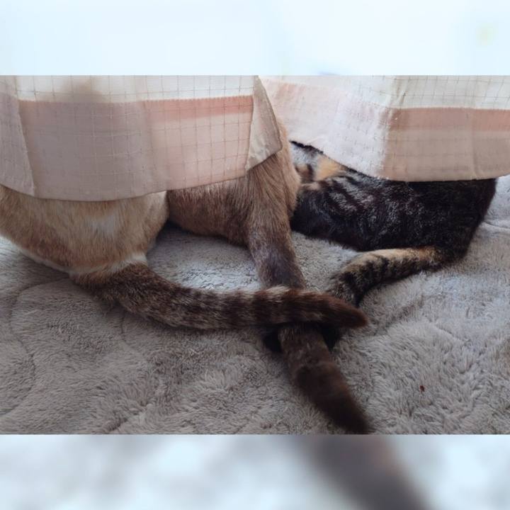 5b3a4959 d1e3 4ae5 a7a3 5b992d9d04d3 1717629789184