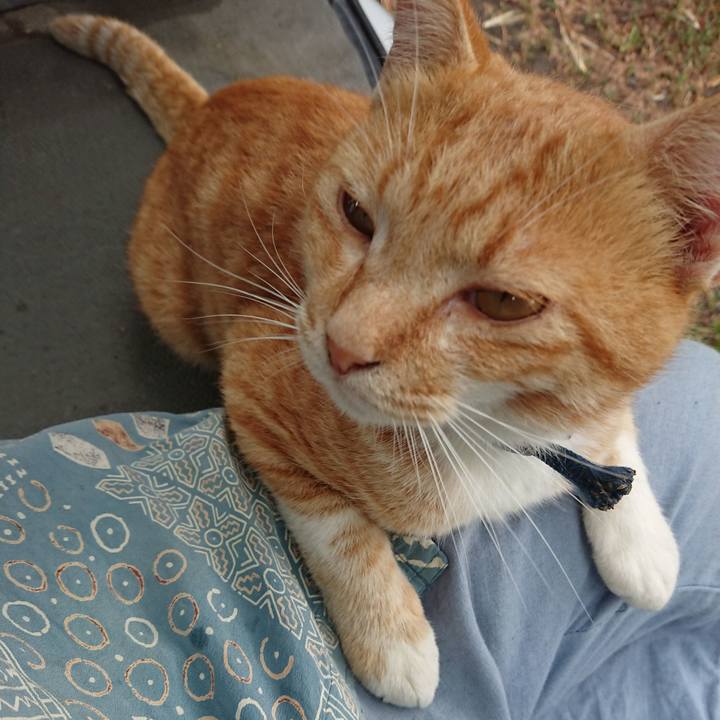 5b3ab5c4 90fe 46af b2a3 52626f640859 1565935368162