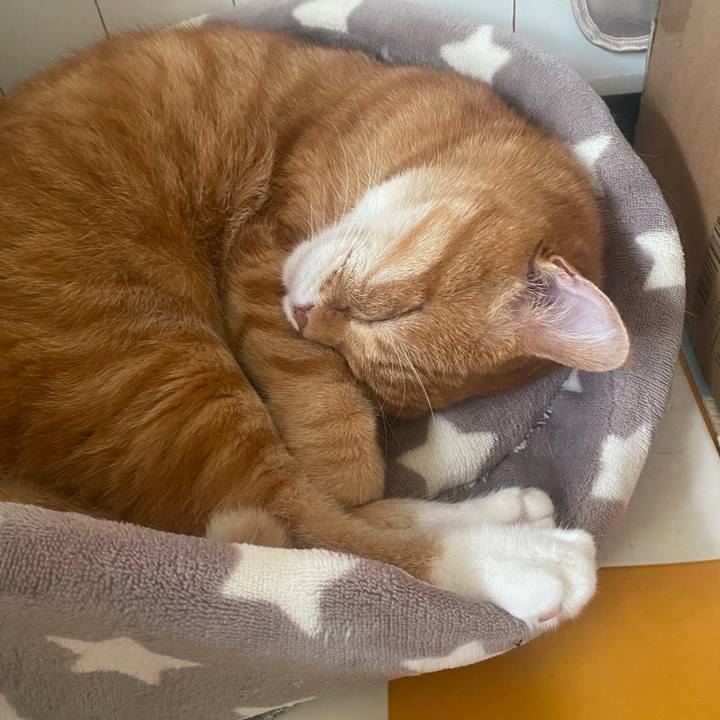 5b3acd03 e6e7 44ab 87ff 9ac8673ccb2c 1719119747854