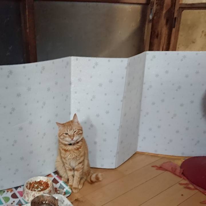 5b3b0759 d9fa 4b02 8d0d 4ac9094dfeb1 1645567140253