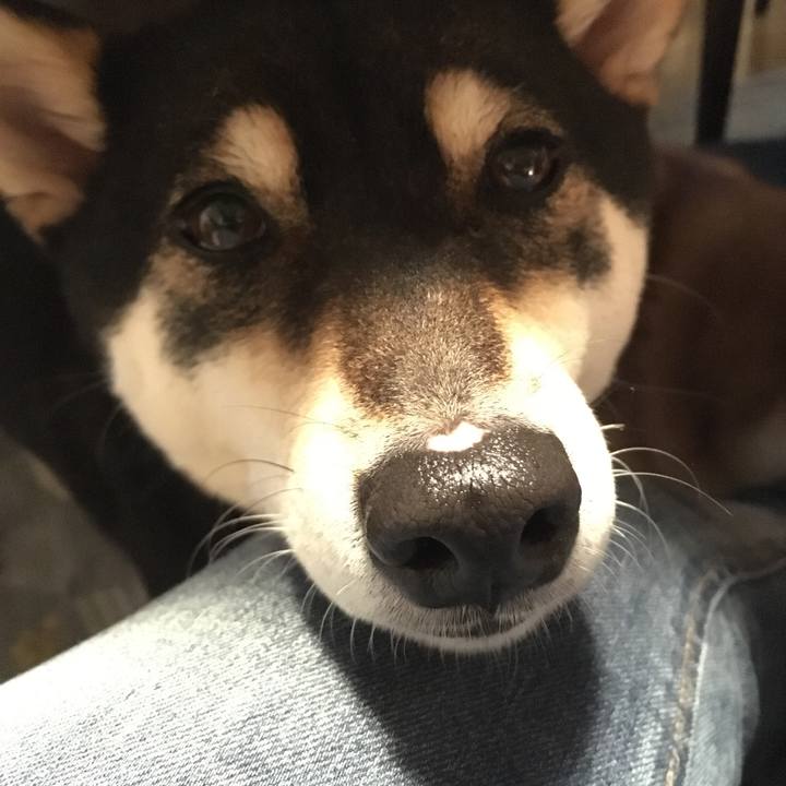 5b3b481d 05df 424a 8a69 b21529dc4fdd 1553954201414