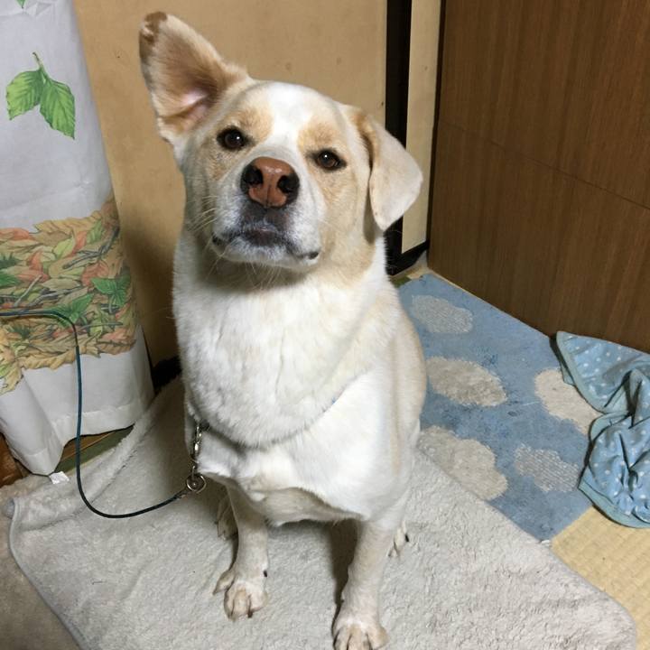 5b3bbe35 fc1a 47e7 9a32 9b49021f6b35 1508796798248