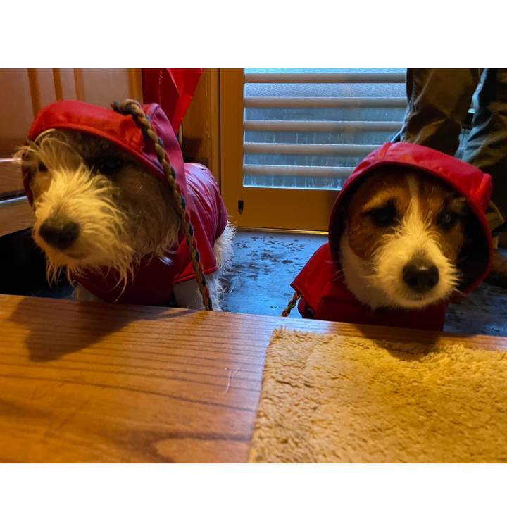 5b3bf8f9 13a4 454c 86c8 a3f98f0b9b03 1703545931640