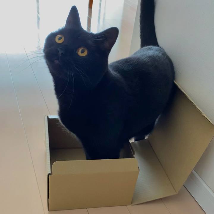 5b3c0f33 64d2 4fa0 aee9 f0f3a161fec2 1606274960013