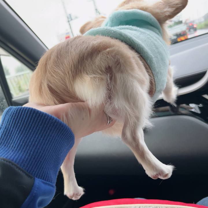 5b3c2e9e 8e16 4f84 9903 1863f90d65e2 1730510447795