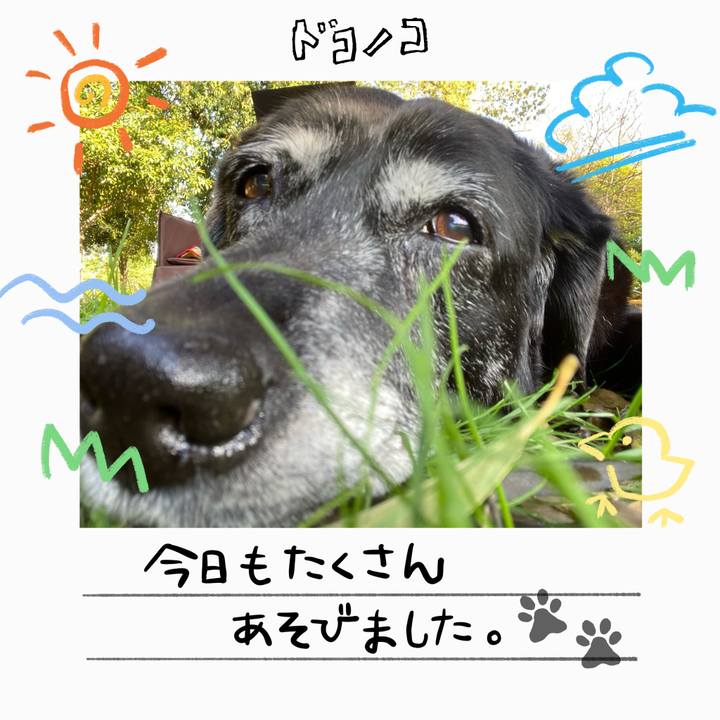 5b3c7fe5 21f8 4b15 9ac2 918ac54ed24e 1755392047338