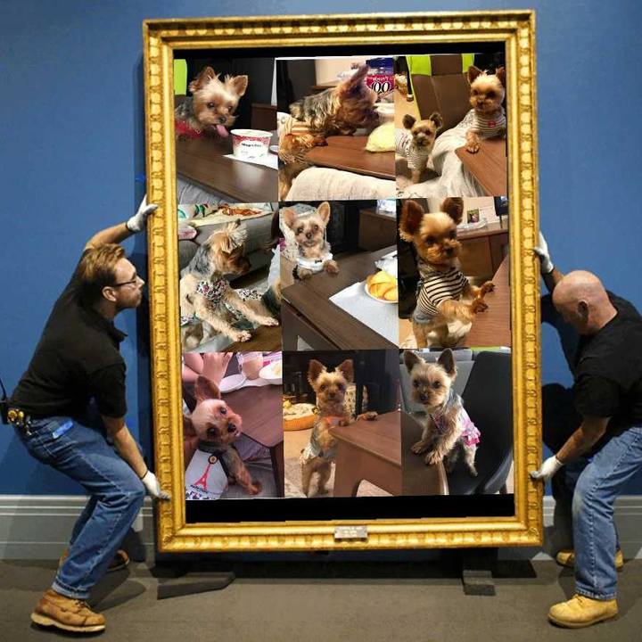 5b3ca2c7 0480 4f59 b4aa a4ed5f2265d7 1552421241786