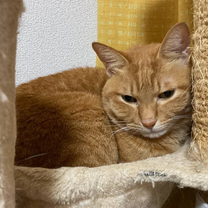 5b3cae99 46d2 433b 9cbe 17d70f0fa62d 1764688845904