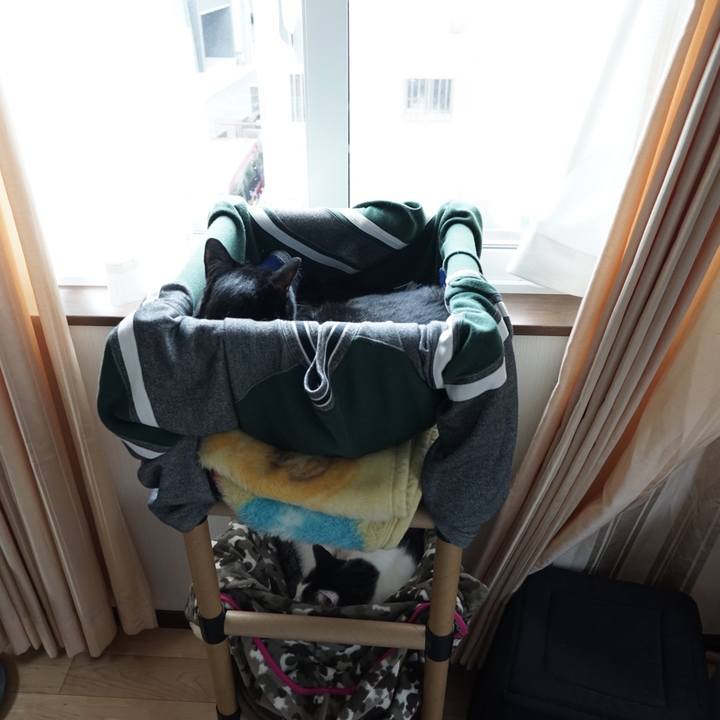 5b3d1397 c190 4796 88e8 c8a949fd6f91 1558240576011