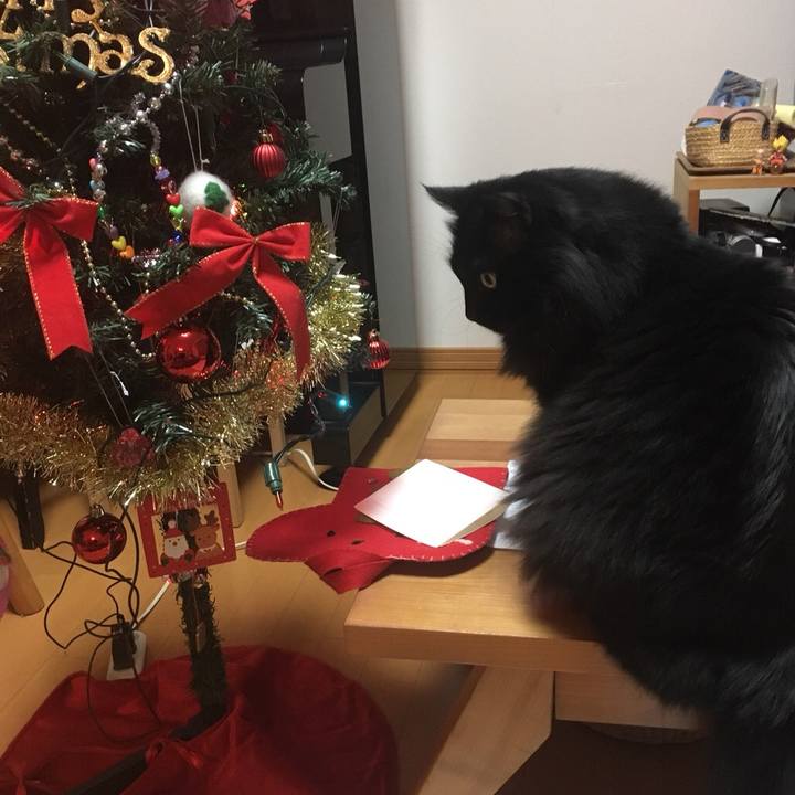 5b3d6916 0100 45d7 95b8 8e9ffeb413da 1545757356321