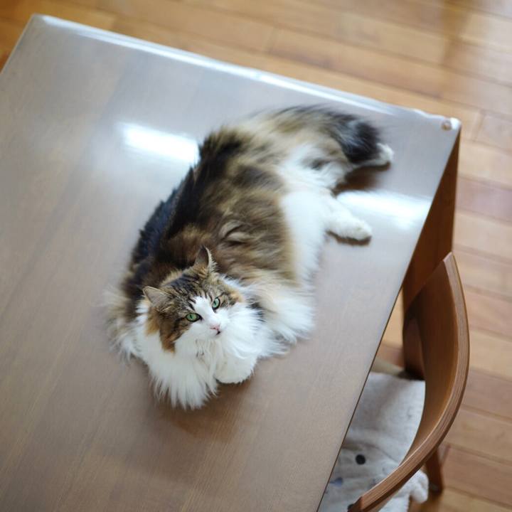 5b3d967c 2476 4728 bbf6 a5eef9817b67 1662696858736