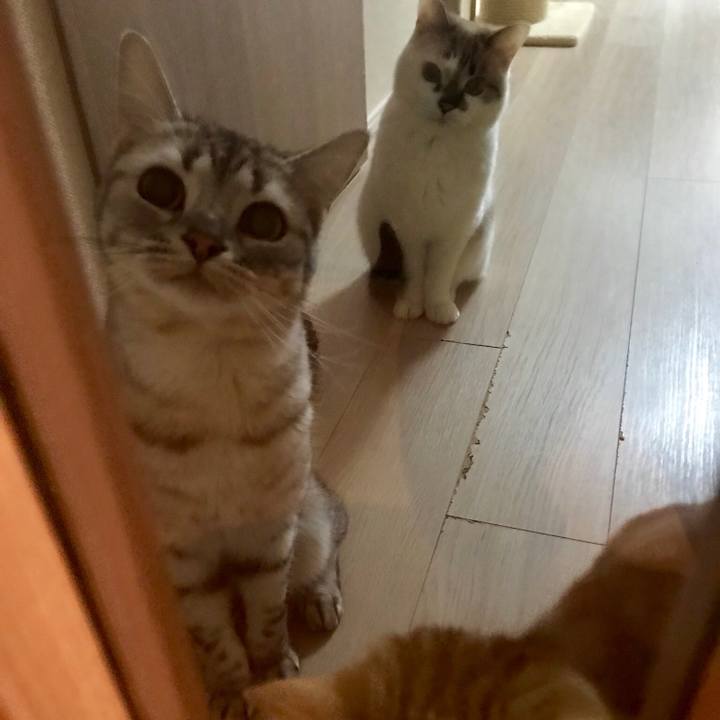 5b3d9ffe f448 484b 8810 50729763e693 1544944151235