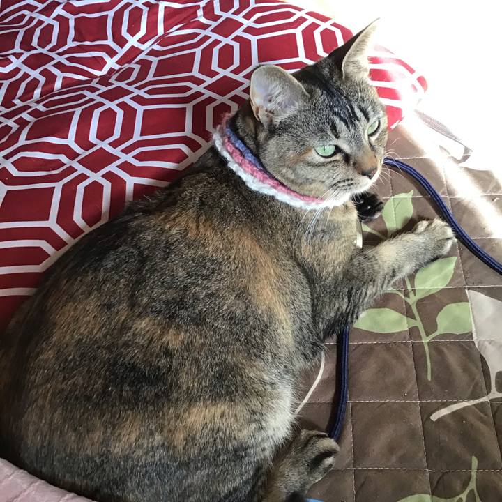 5b3da015 2a31 4ca9 b3f8 0d5f4ad0baab 1617751887042