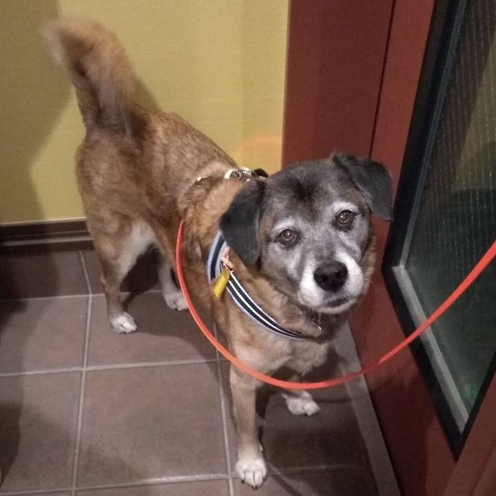 5b3dbe44 6ce6 4517 9cf0 9a9d5c250b13 1549019462838