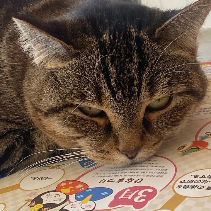 5b3dd0e3 5374 4f9a bc3f f870e923ac7d 1672717264517