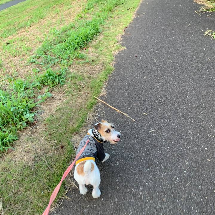 5b3dd2e7 396e 4dd0 9ed1 5d77ad7ecf44 1599212827573