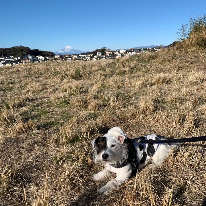 5b3de67f 0cf2 4e9e a2d3 06516c501e2c 1671410066057