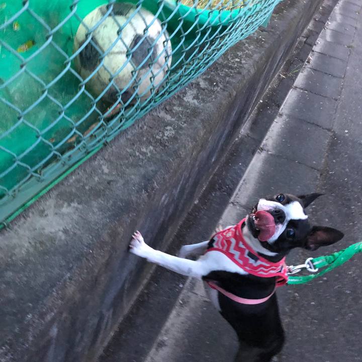 5b3ded0f 8419 4a26 b429 5713088bf4c3 1565614846009