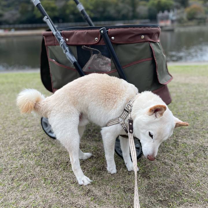 5b3e3781 2a8d 4419 8787 9d215b7a2725 1647668595589