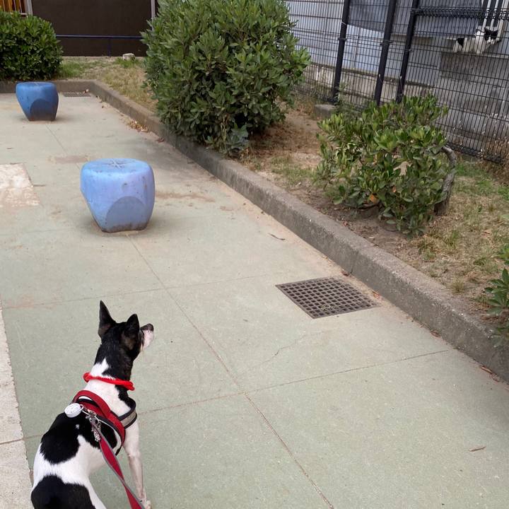 5b3e3bf9 77bd 435e a4e7 71432eefd140 1591704154299