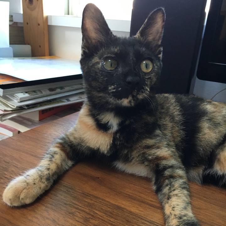 5b3e6576 bb09 4760 a772 73cfd1a9768c 1568072541203