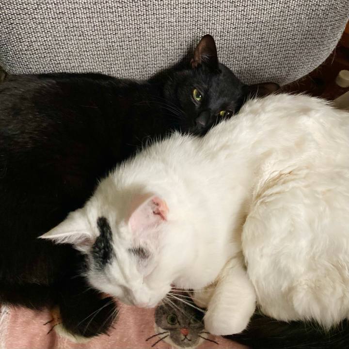 5b3e753a 4a82 473c b837 b647430bde7c 1655159248497