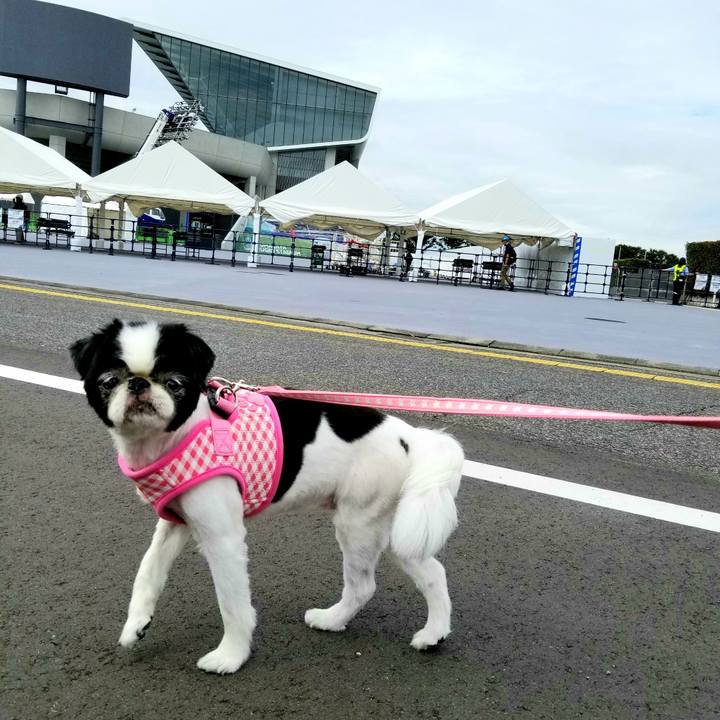 5b3e9a48 3835 4729 9102 ceb1ef787e92 1568616878155