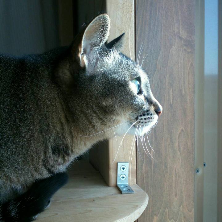 5b3eb7a9 5519 4c4c a0a6 55a45ecb214b 1551231194257