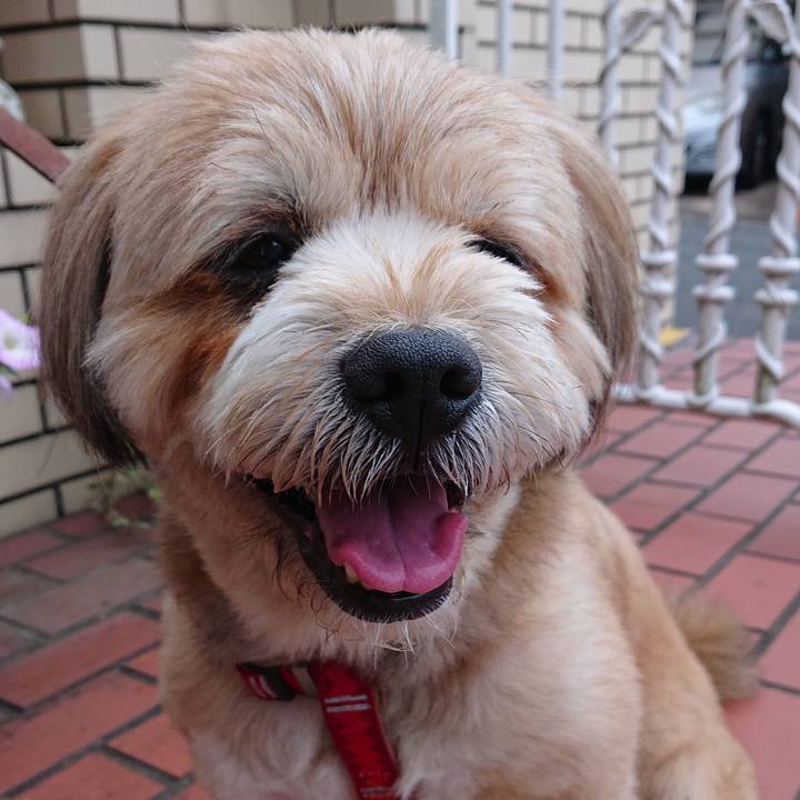 5b3f09dd 8d4d 42a5 96ca b62cb20f332a 1590399653779