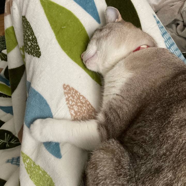 5b3f19ea bbe2 457e 87a1 5f0d934143b1 1618634931056