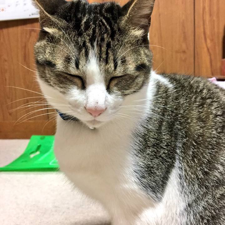 5b3f21ee 2543 4f91 820d 824d2b2f46fc 1511099485565