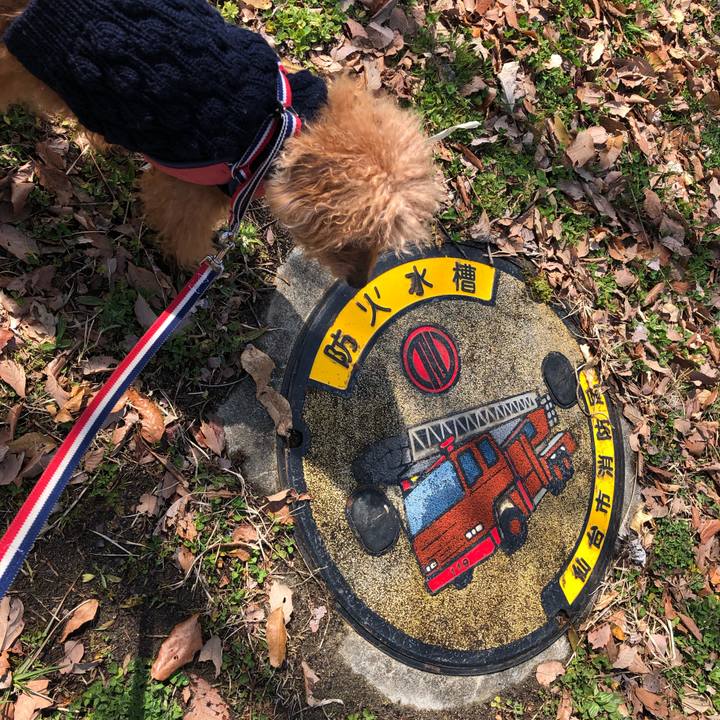 5b3f4b23 1544 4da2 a2c5 175d56b0940f 1647660235749