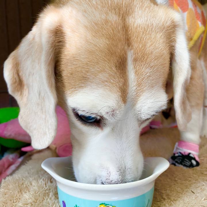 5b3f80df 795d 4eb4 9817 c56f873a4ed9 1582517994467