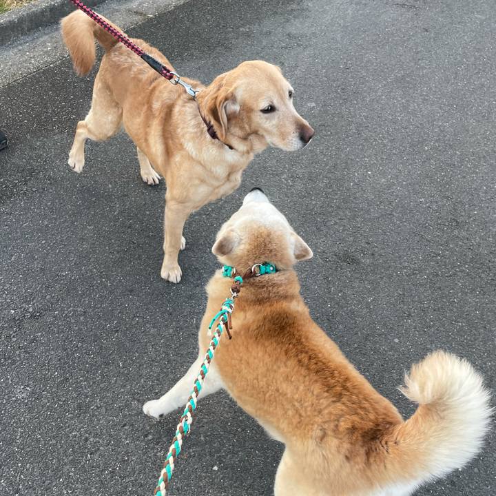 5b3fcfc9 4596 4f75 8232 60e11b56dbf9 1644968864842