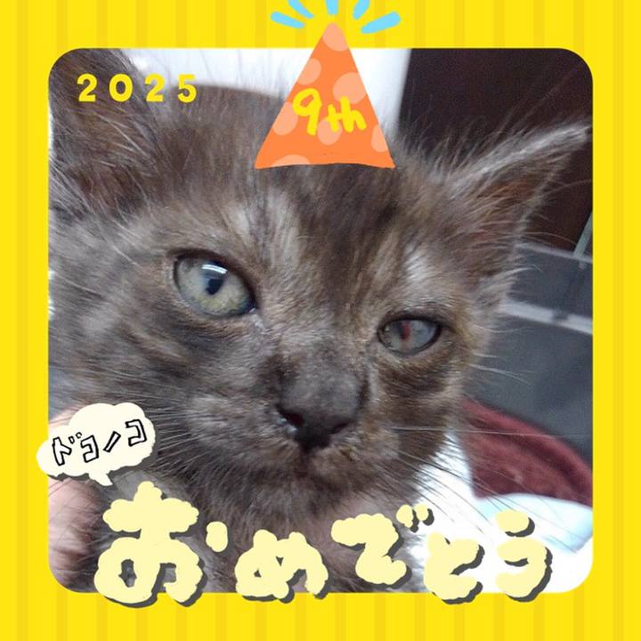 5b3fd79b c22a 4319 ad34 1c2b7b4f6864 1749468050491