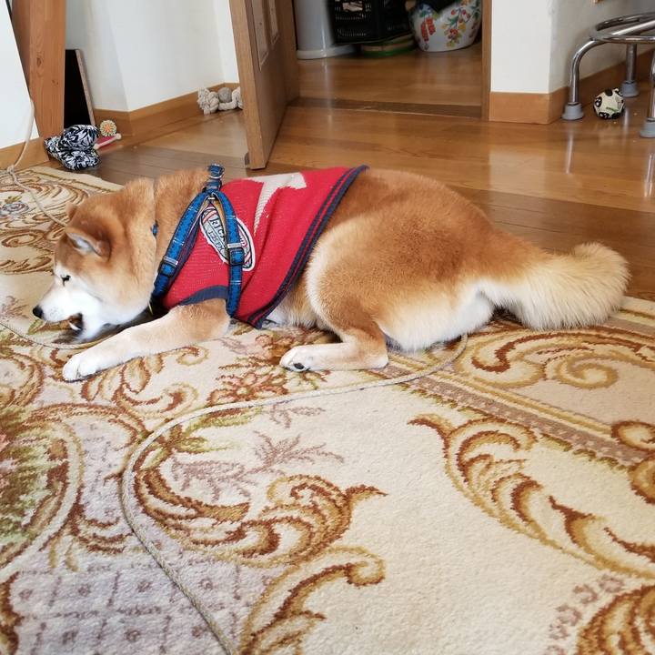 5b3fde35 00a0 4f64 a530 a6d01495789f 1552347910315