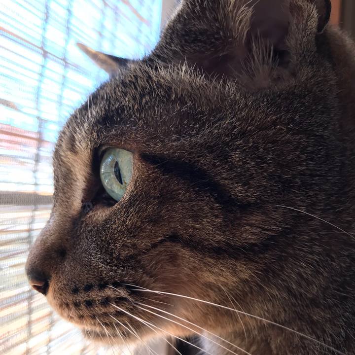 5b3ff4d7 6b25 4d86 96d7 d335f1f1ff42 1529715004986