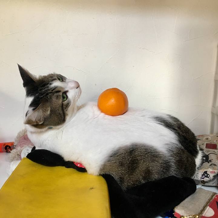 5b400990 a3c8 407e badc 591f2b747a7c 1514864309336