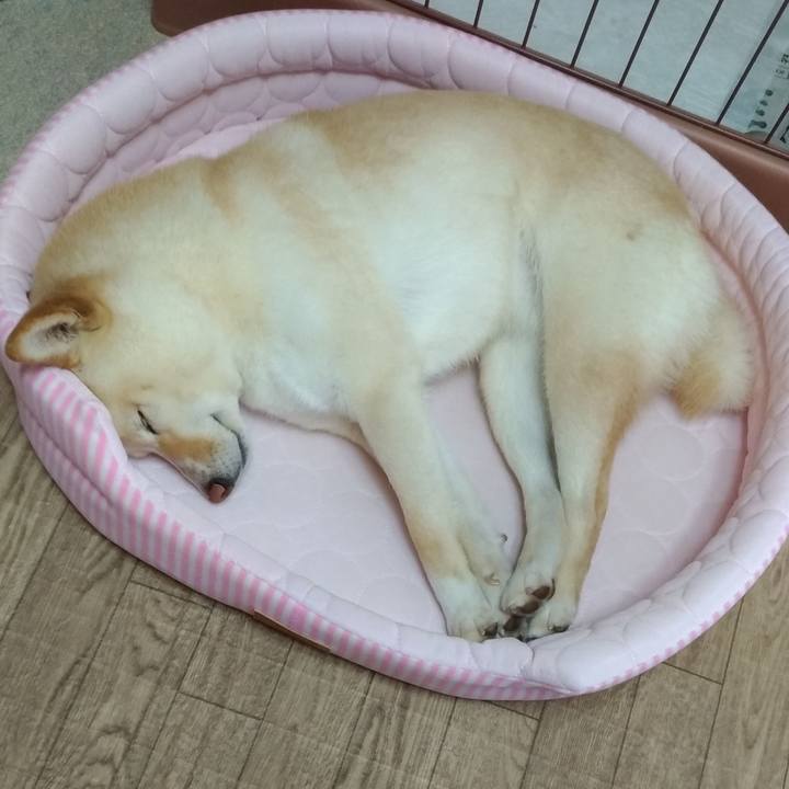 5b400be0 ffe5 4888 8ff2 ebeb8a7a6dca 1590298751426