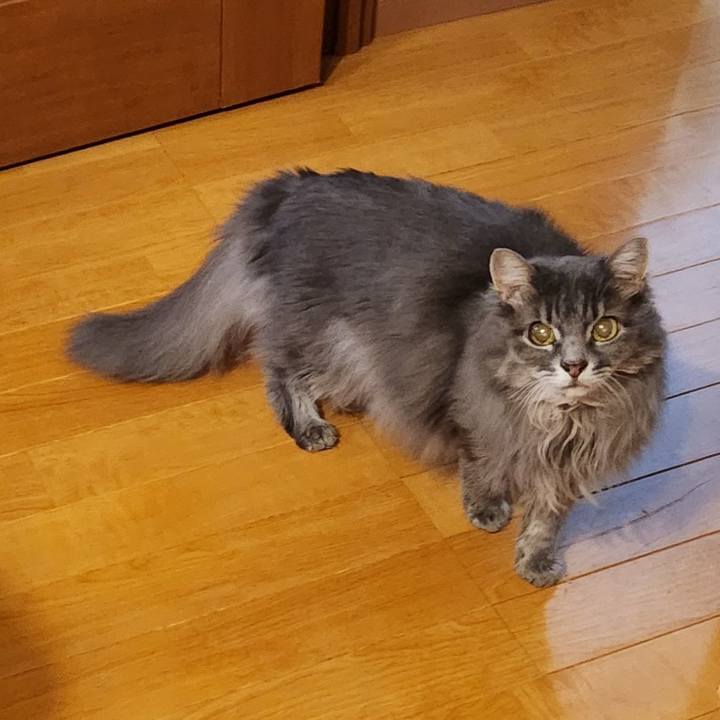 5b4078d7 b89a 4305 80ef 1b438a76d199 1732225186790