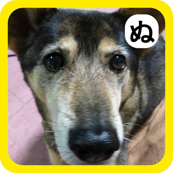 5b4081ab be5b 4184 b3a6 c7ea5a88e0c1 1514771112007