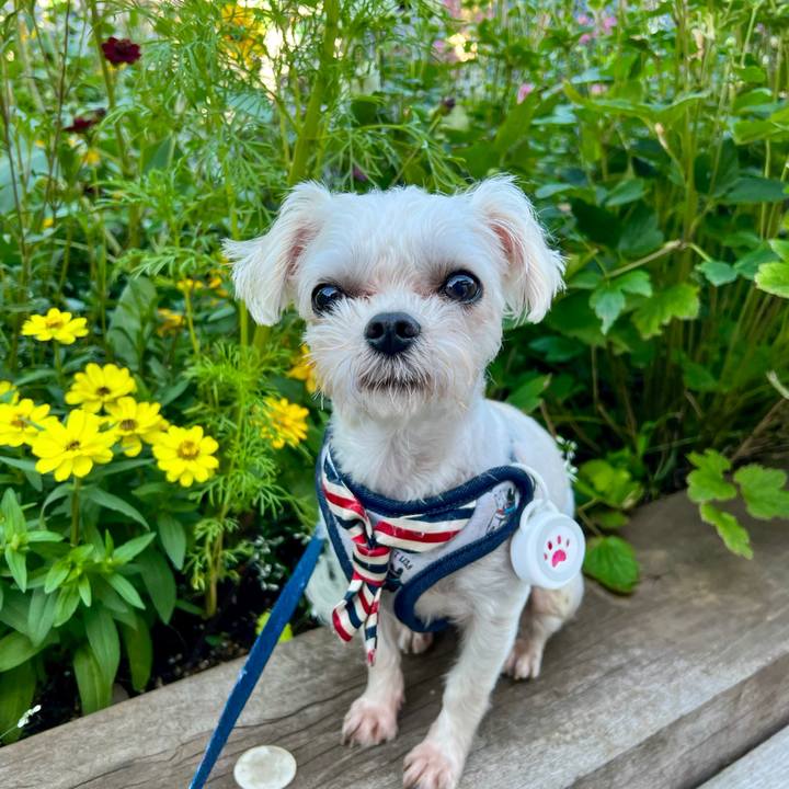 5b408be4 ddfa 4597 9943 2f6761530dc0 1664161974984