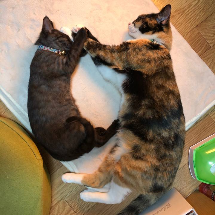 5b40aa3a 00cb 4802 ade1 7aca571c7c33 1609615824920