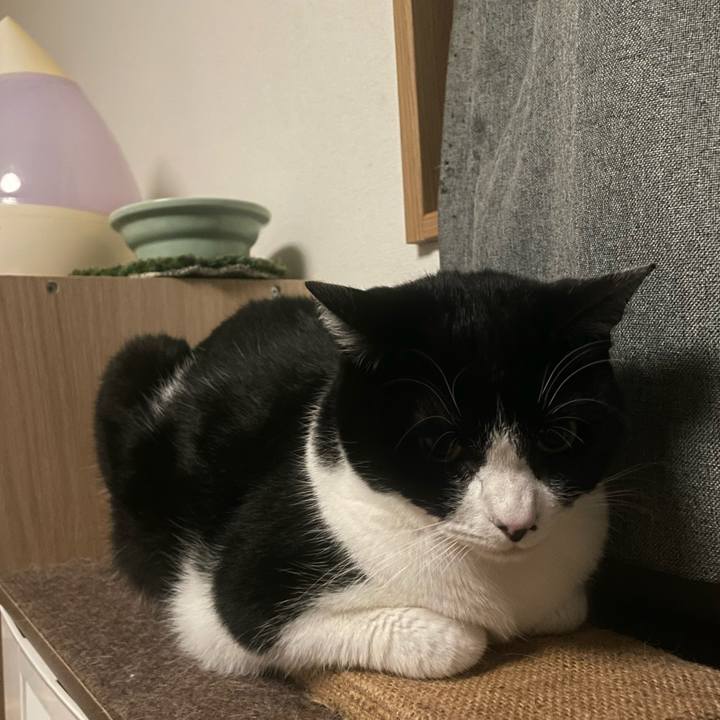 5b40ba0a 1ad9 4717 afb9 b650d194e07b 1733792625698