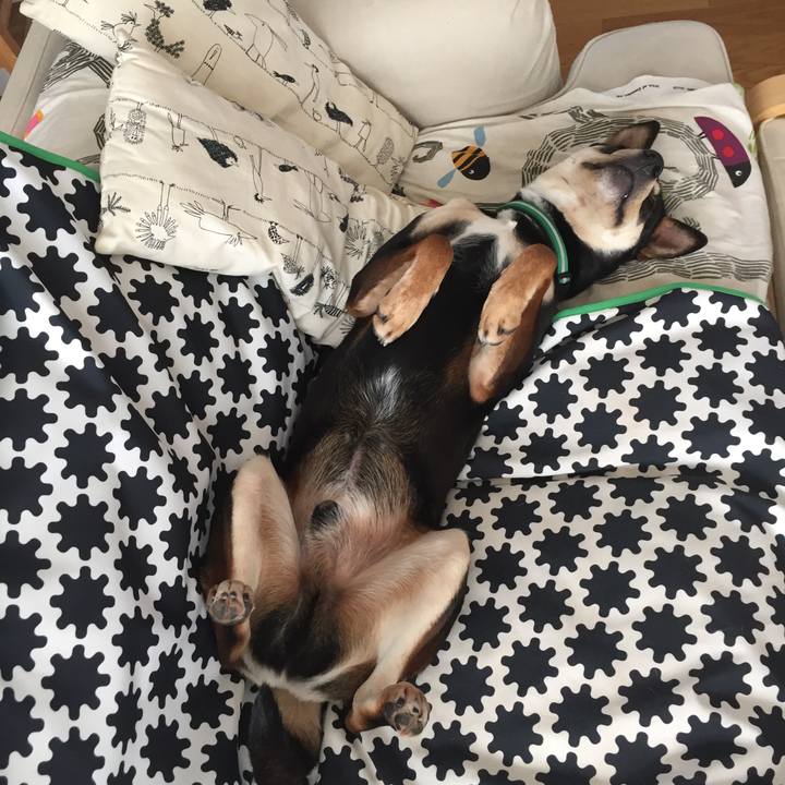 5b40bb96 5a70 4ed3 8401 b48856b12667 1516375214070