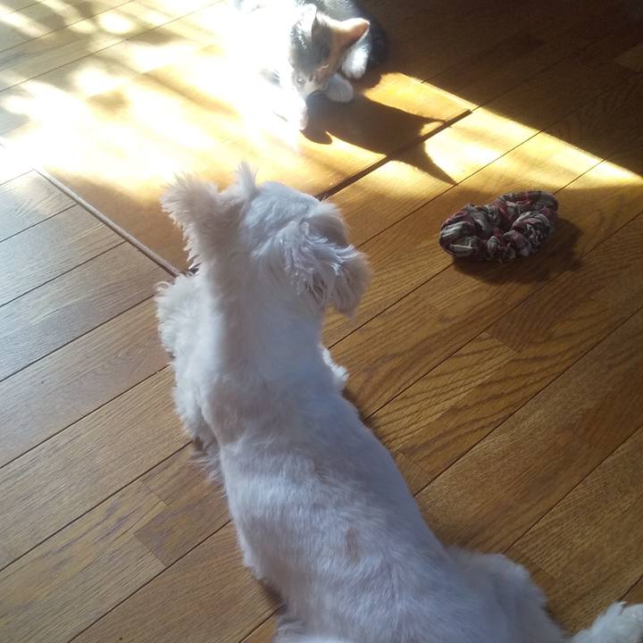 5b40ccea 4f6a 4d7c b104 a9b28a4b31a8 1722120360163