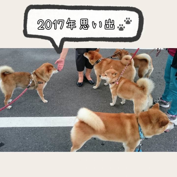 5b40d9e2 42ca 44f8 8993 6030ac2486a0 1696760732087