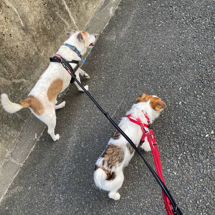 5b40e8e3 0f58 4aec 8558 5874be0ed4e3 1627784264758