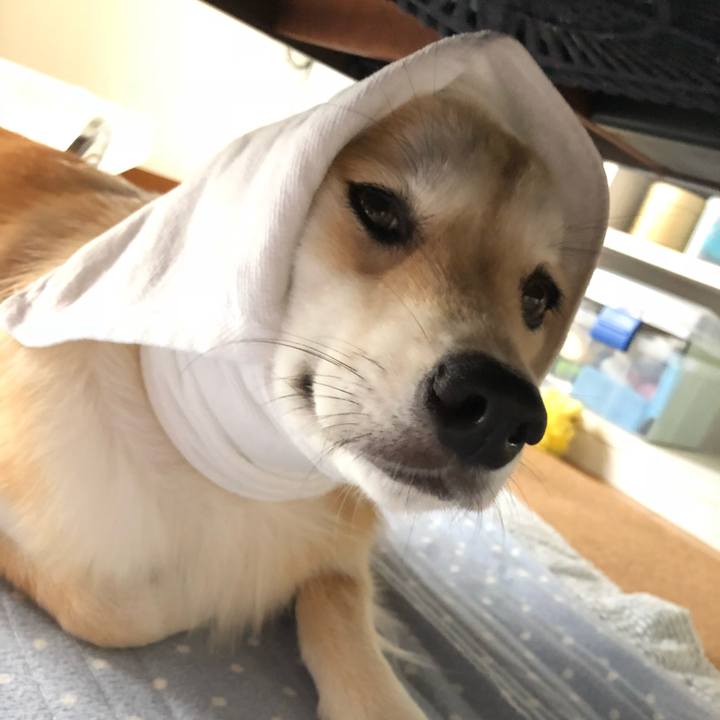 5b411f12 5817 4f57 80b6 97e6fd9d45c8 1535674887743