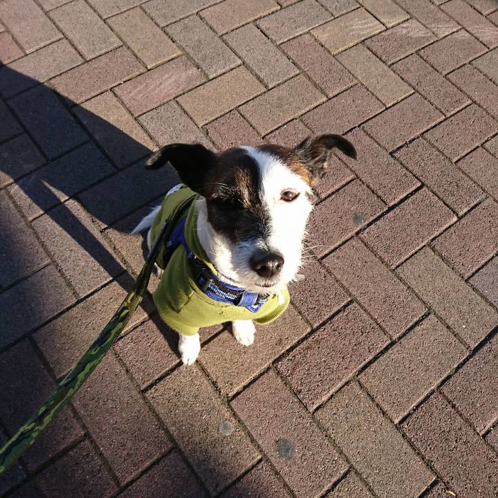 5b414d2b a8ad 451f b4e4 289e0fd9d837 1517009649039